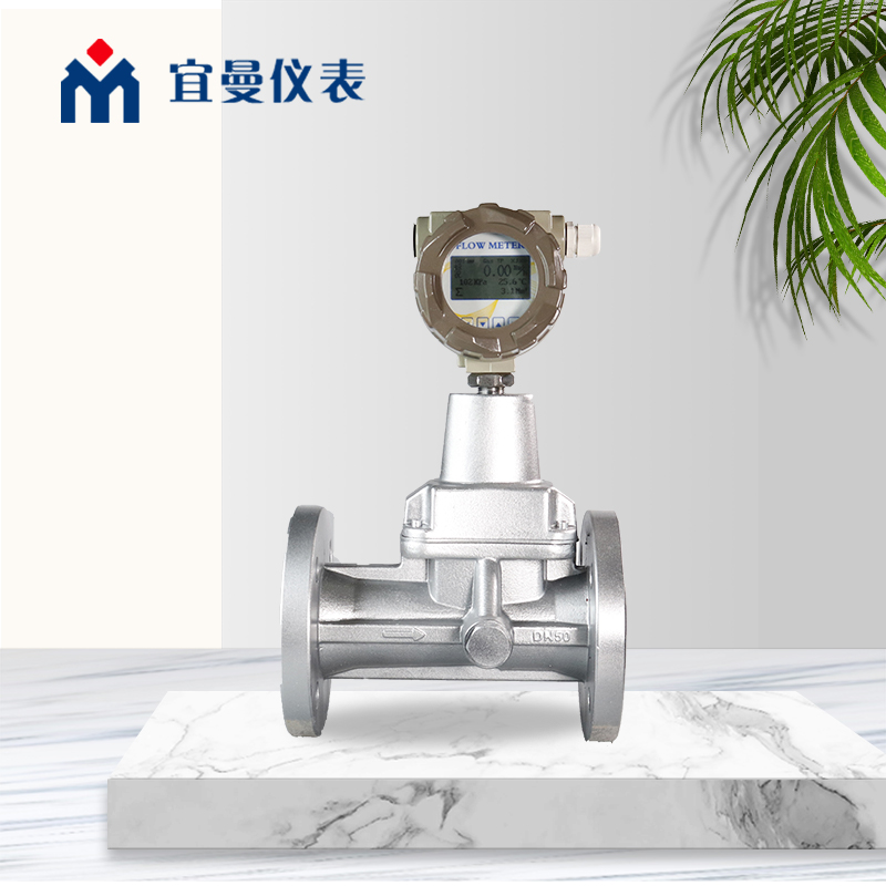 旋進(jìn)旋渦流量計